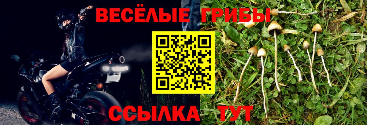где купить   Псилоцибиновые грибы прущие грибы  Вход с VPN  Кириши 